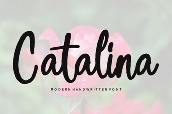 Catalina Font Design Trends and Creative Uses