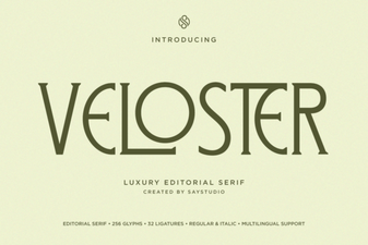 Veloster Font Design Trends and Creative Uses